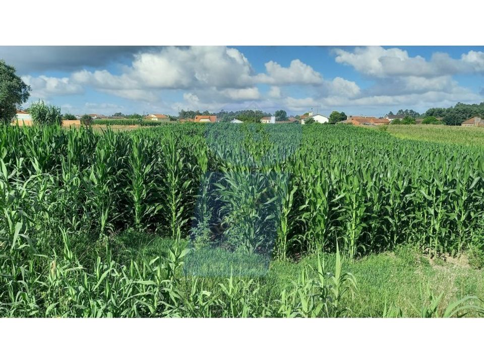 Terreno en Oia, Aveiro - foto 2