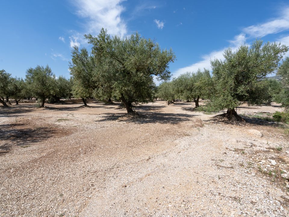 Finca en Mas De Barberans, Tarragona - foto 5
