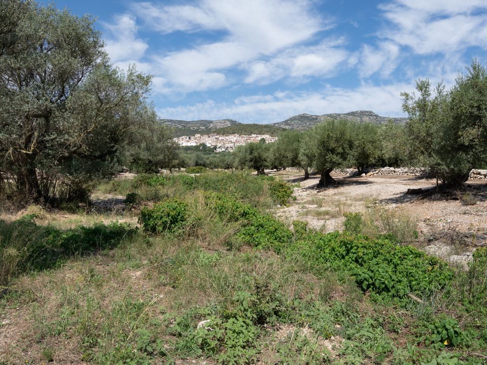 Finca en Mas De Barberans, Tarragona - foto 2