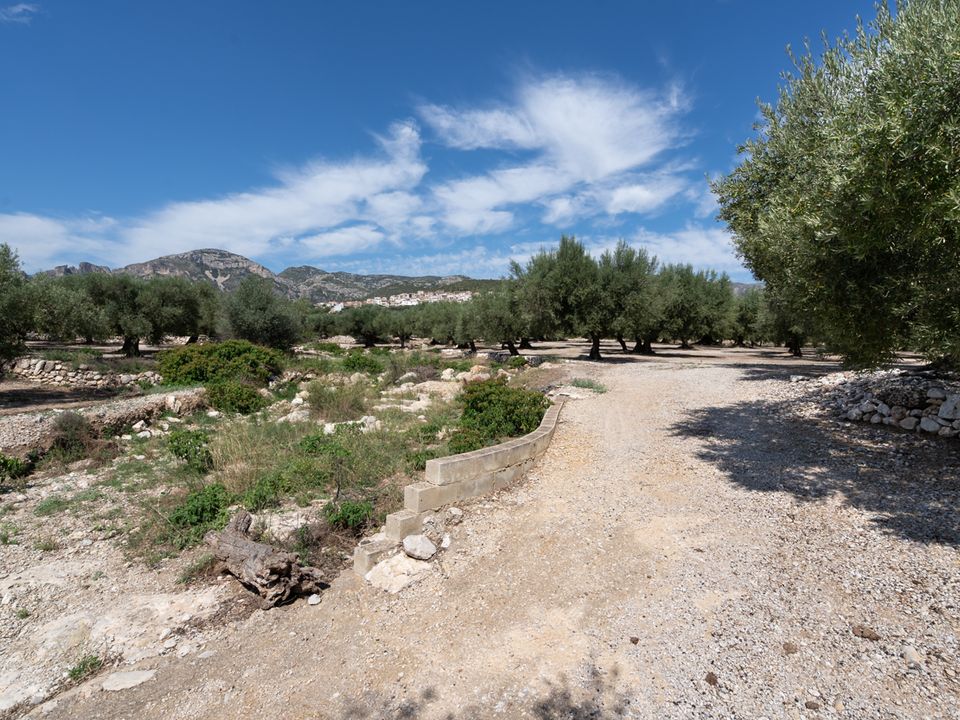 Finca en Mas De Barberans, Tarragona - foto 3
