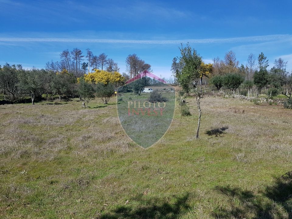 Helårsgrund i Mangualde, Viseu - foto 2