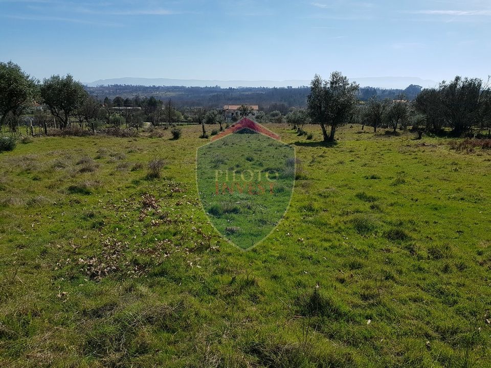 Helårsgrund i Mangualde, Viseu - foto 3