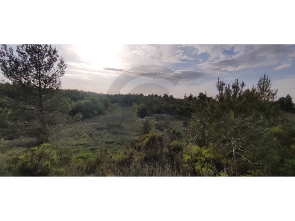 Helårsgrund i Olaia e Paco, Santarem - foto 2