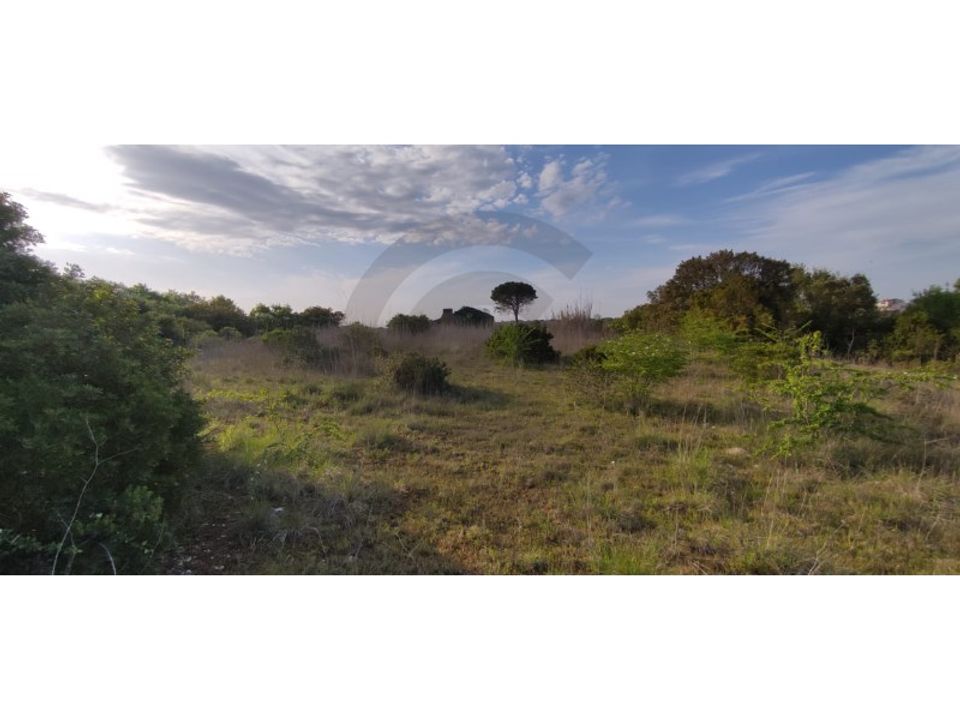 Helårsgrund i Olaia e Paco, Santarem - foto 3