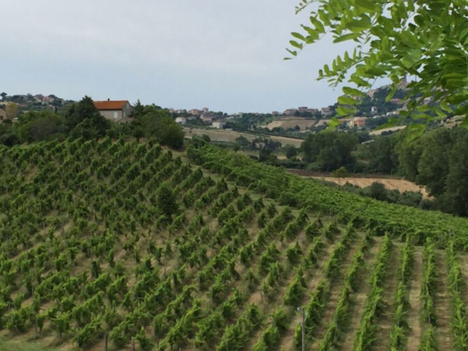 Farm hus i Sant'Elpidio a Mare, Fermo - foto 2