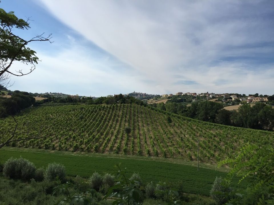 Farm hus i Sant'Elpidio a Mare, Fermo - foto 4