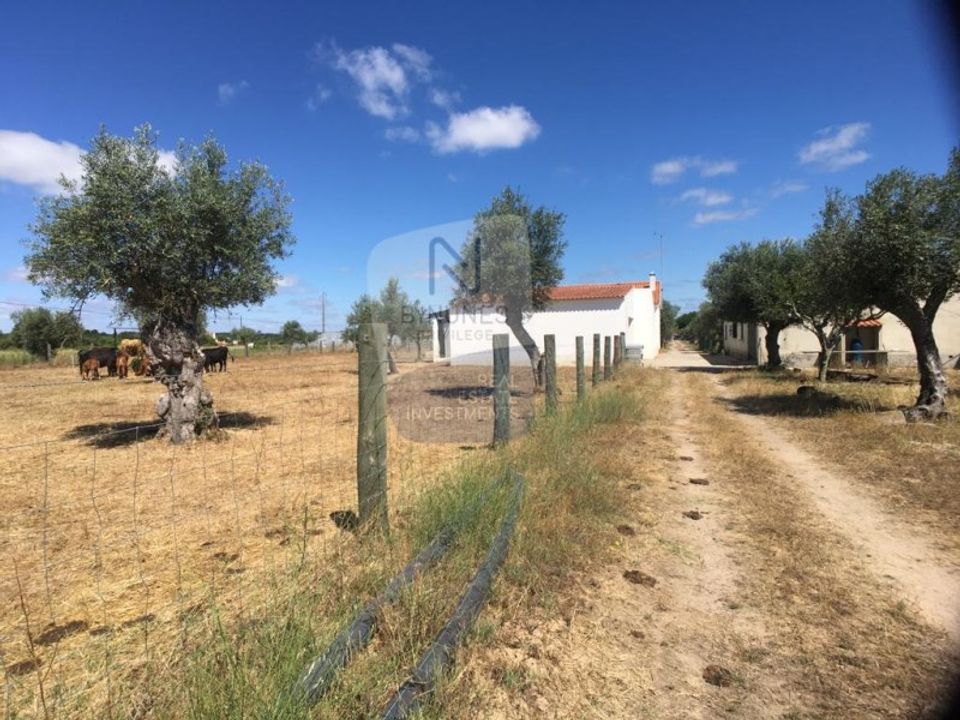 Helårsgrund i Abrantes, Santarem - foto 1
