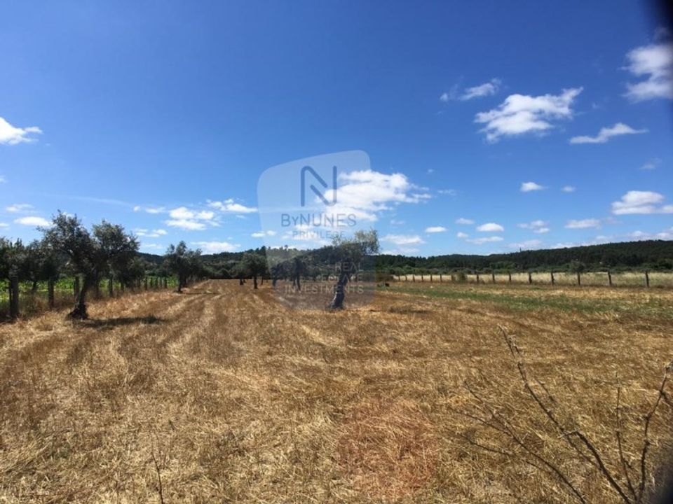 Helårsgrund i Abrantes, Santarem - foto 2