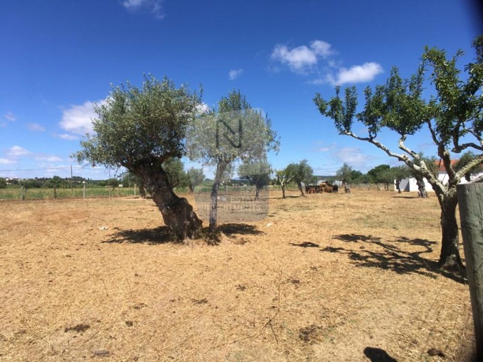 Helårsgrund i Abrantes, Santarem - foto 3
