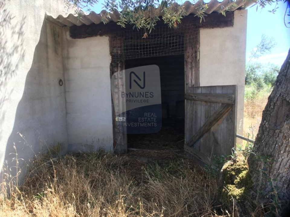 Helårsgrund i Abrantes, Santarem - foto 4