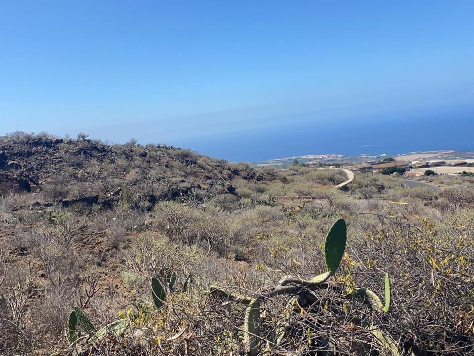 Landejendom i La Matanza De Acentejo, Tenerife - foto 1