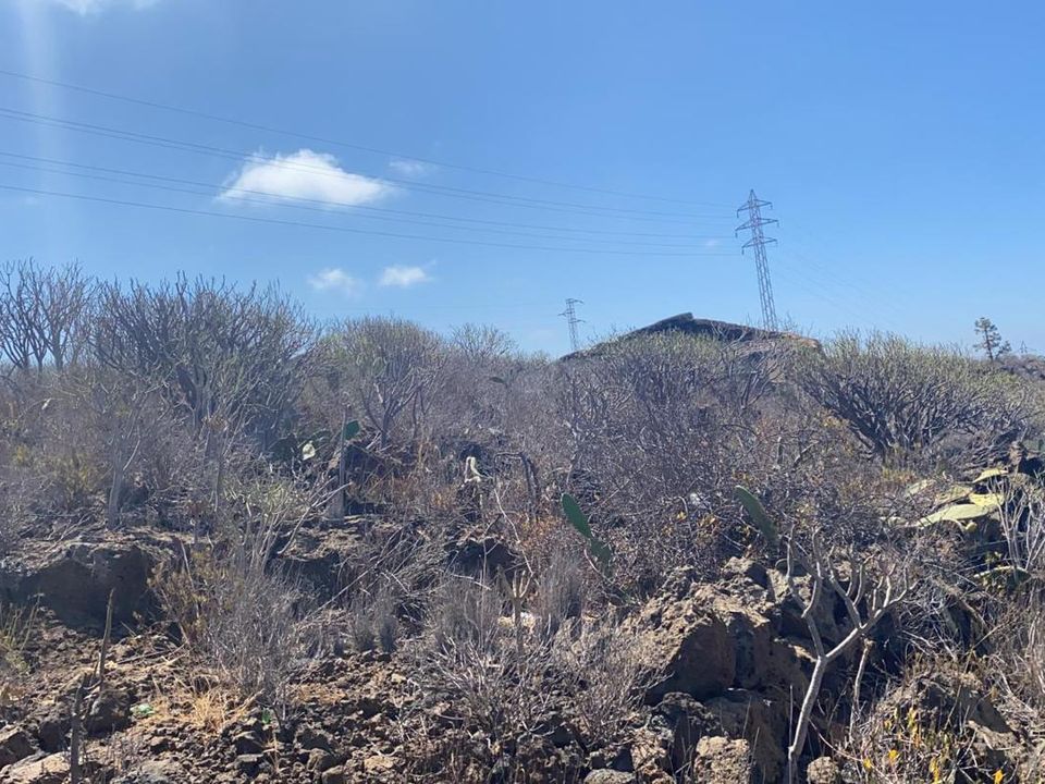Landejendom i La Matanza De Acentejo, Tenerife - foto 2