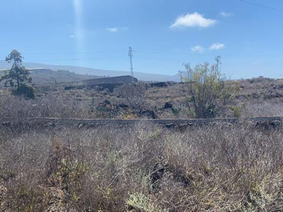 Landejendom i La Matanza De Acentejo, Tenerife - foto 3