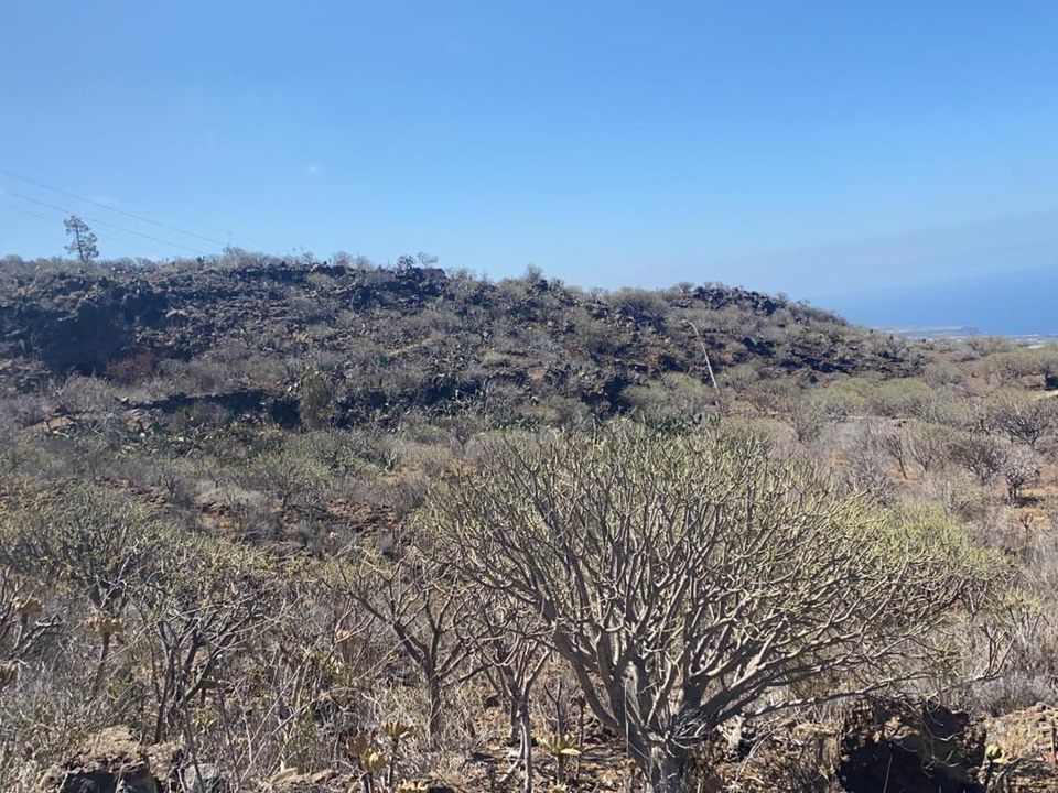 Landejendom i La Matanza De Acentejo, Tenerife - foto 5
