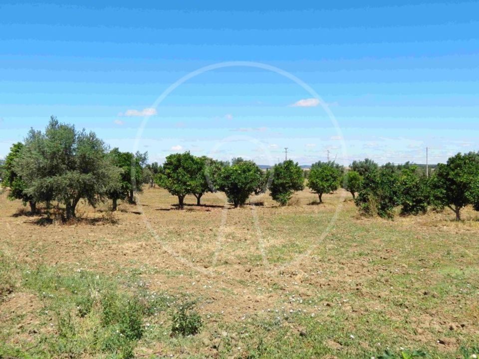 Terra a Arraiolos, Evora - foto 1