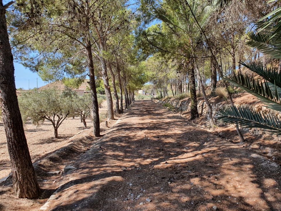 Landejendom i Monovar, Alicante - foto 3