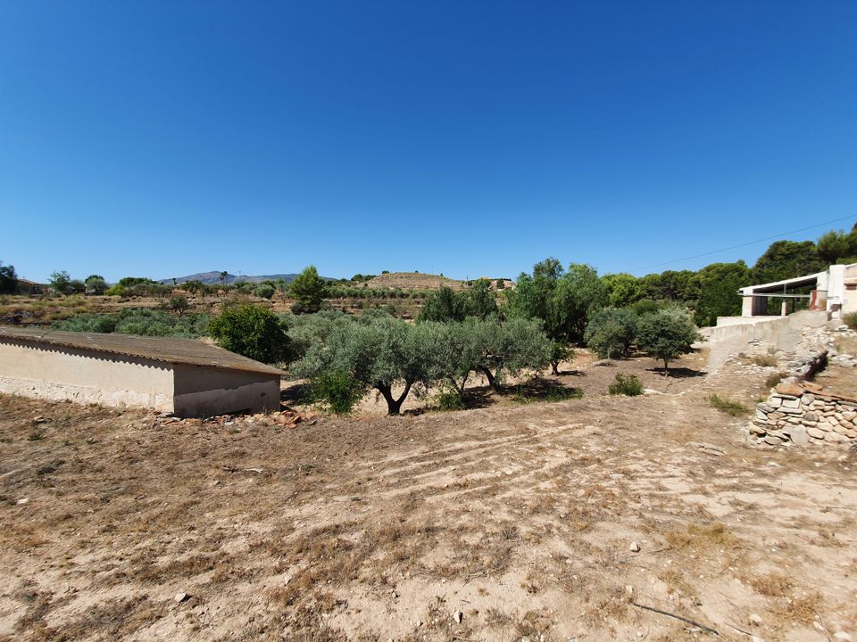 Landejendom i Monovar, Alicante - foto 5