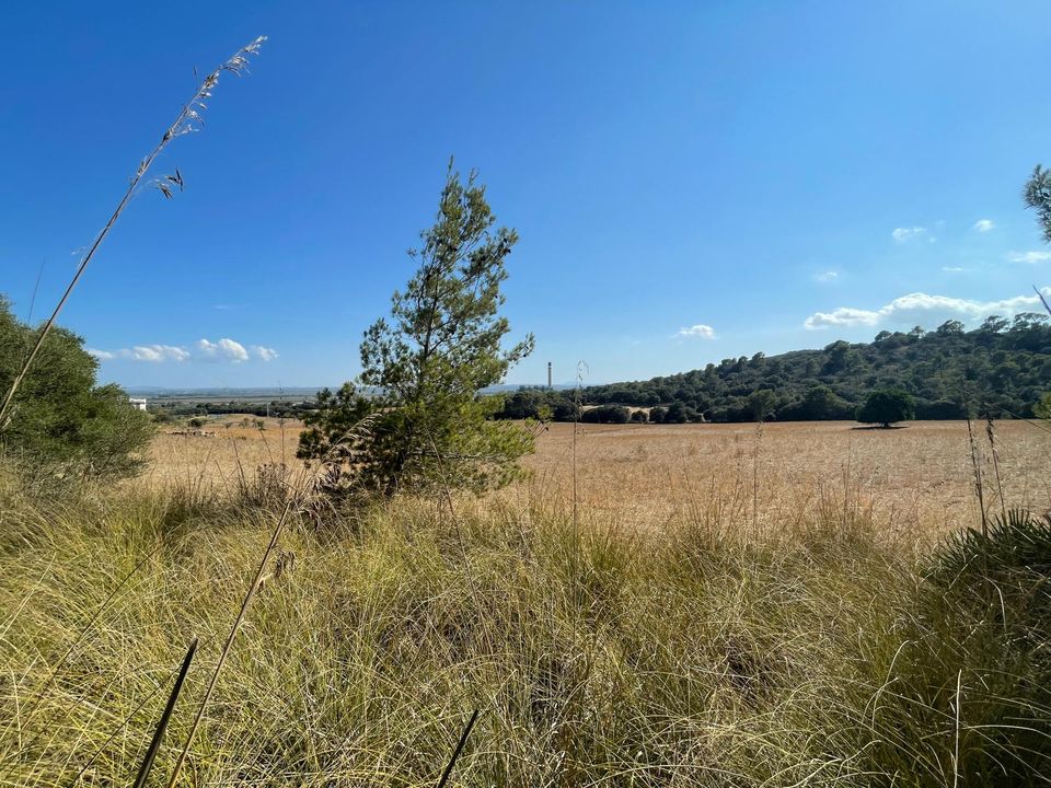 Helårsgrund i Alcudia, Mallorca - foto 3