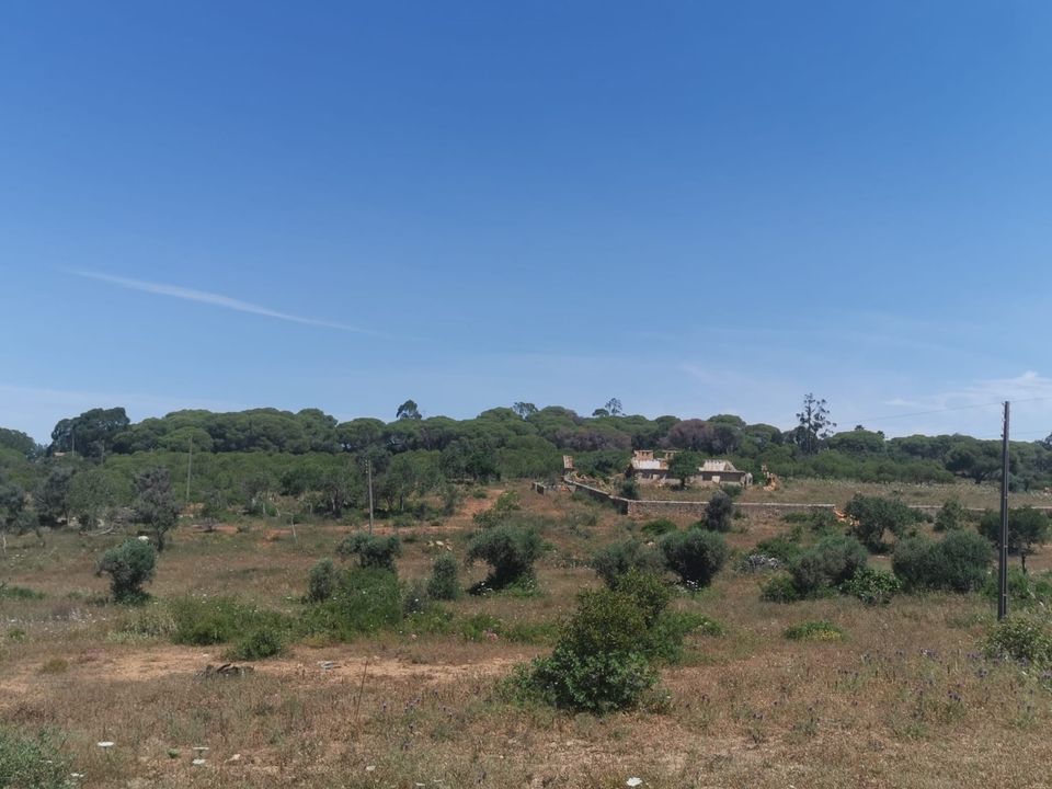 Helårsgrund i Lagoa, Faro - foto 1