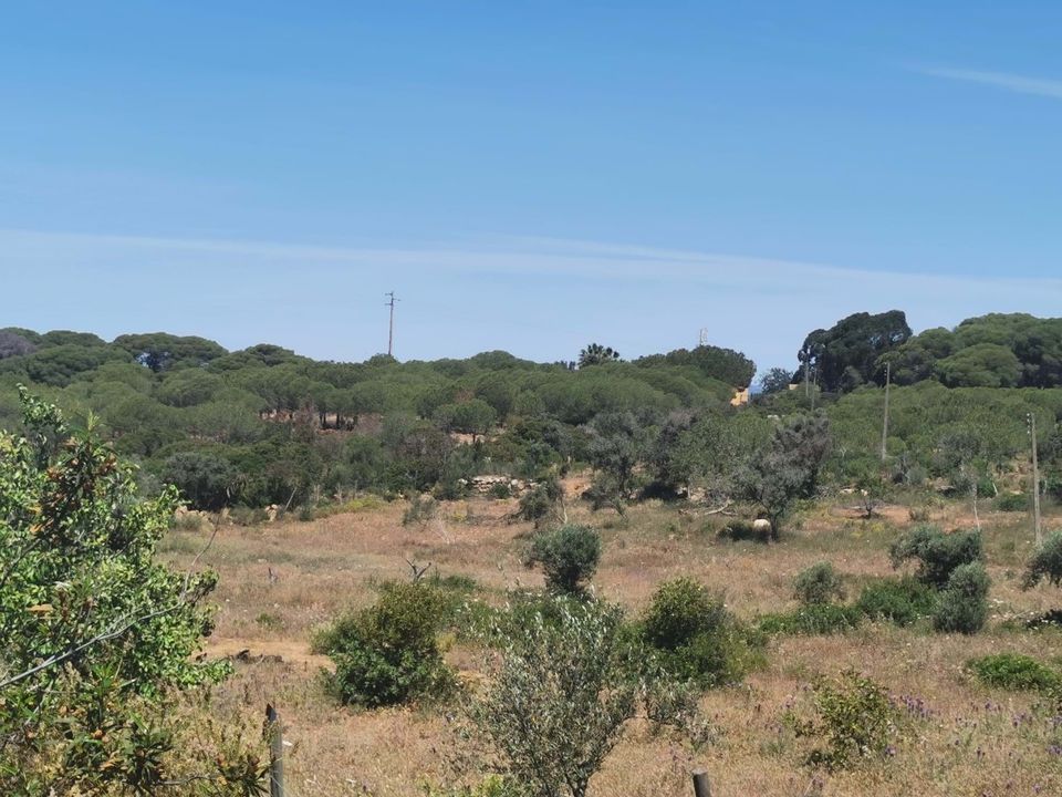 Helårsgrund i Lagoa, Faro - foto 2