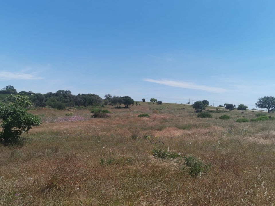 Helårsgrund i Lagoa, Faro - foto 3