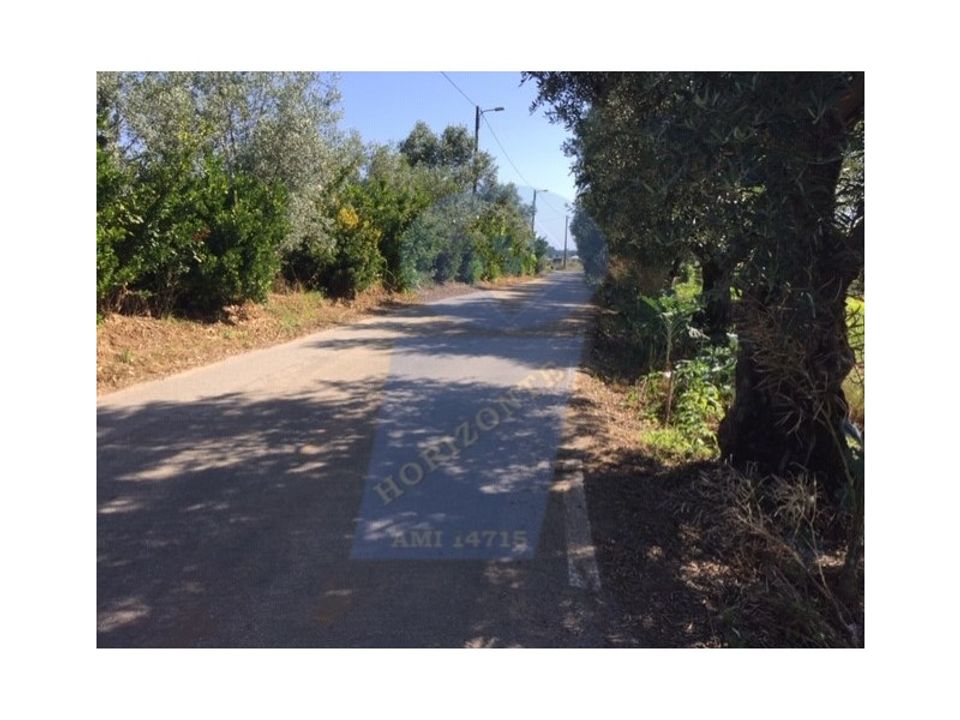 Helårsgrund i Anadia, Aveiro - foto 2