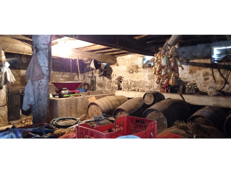 Farm i Fafe, Braga - foto 4