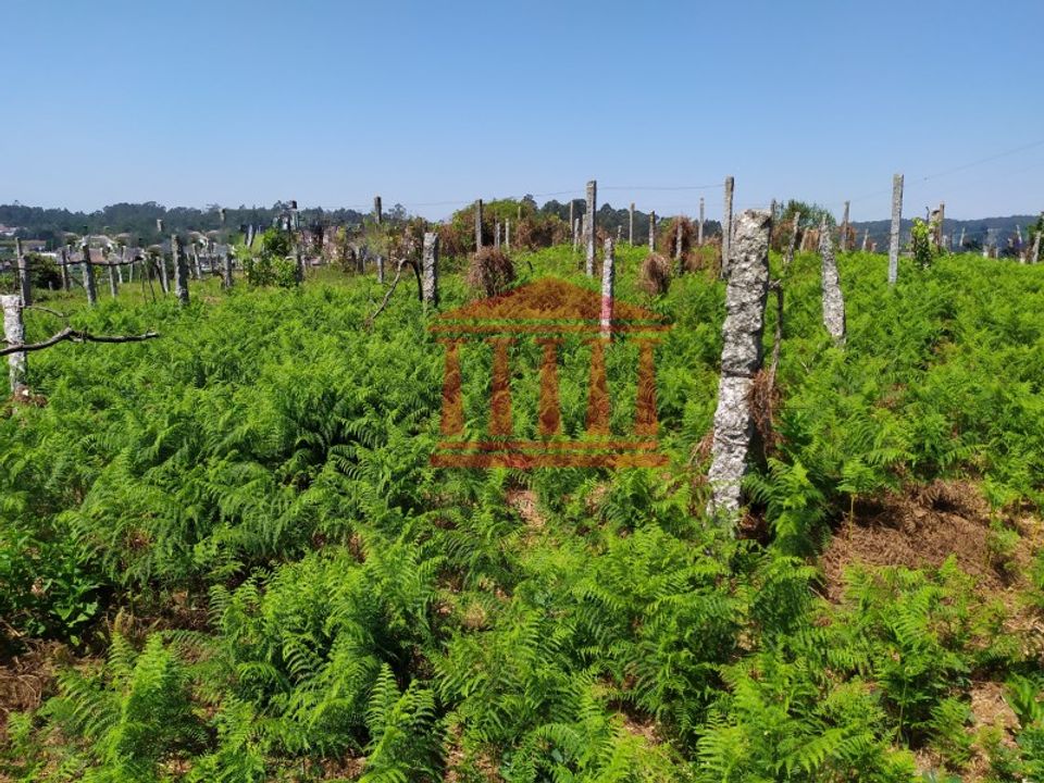 Terreno en Silveiros, Braga - foto 4