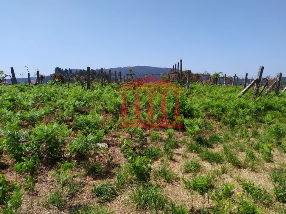 Terreno en Silveiros, Braga - foto 5