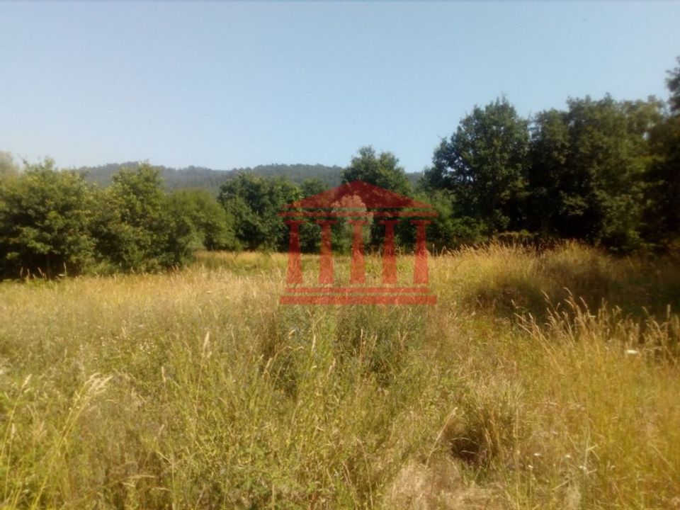 Helårsgrund i Barcelos, Braga - foto 2