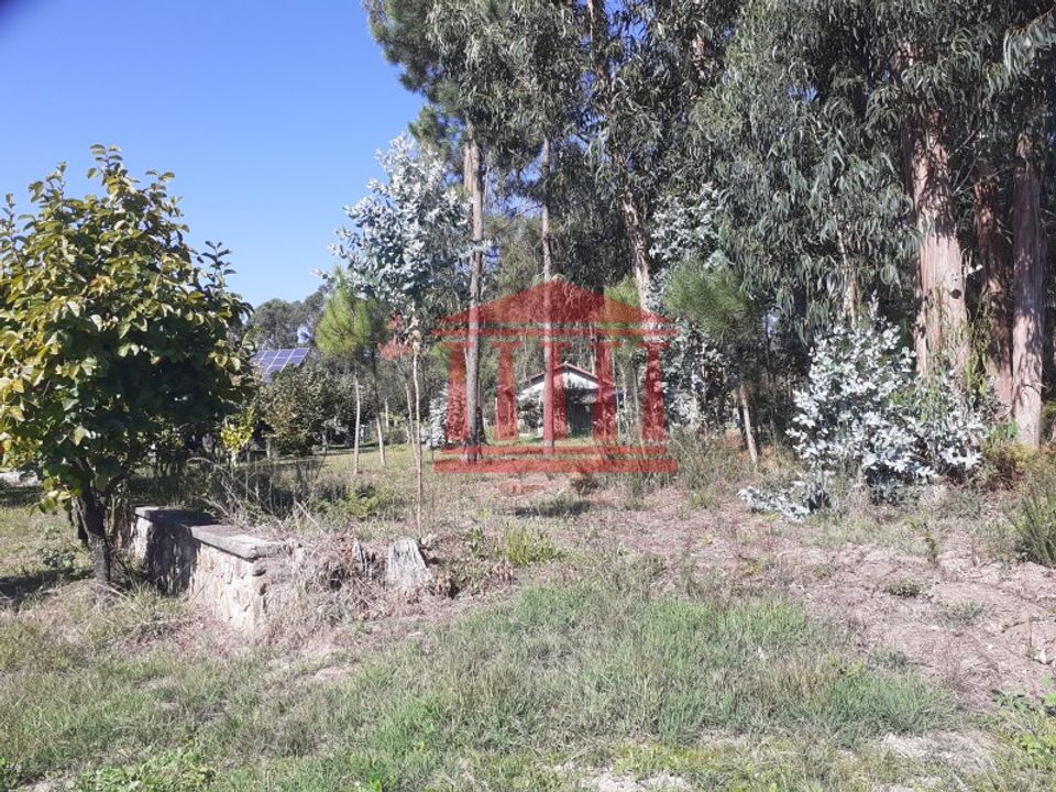 Helårsgrund i Barcelos, Braga - foto 3