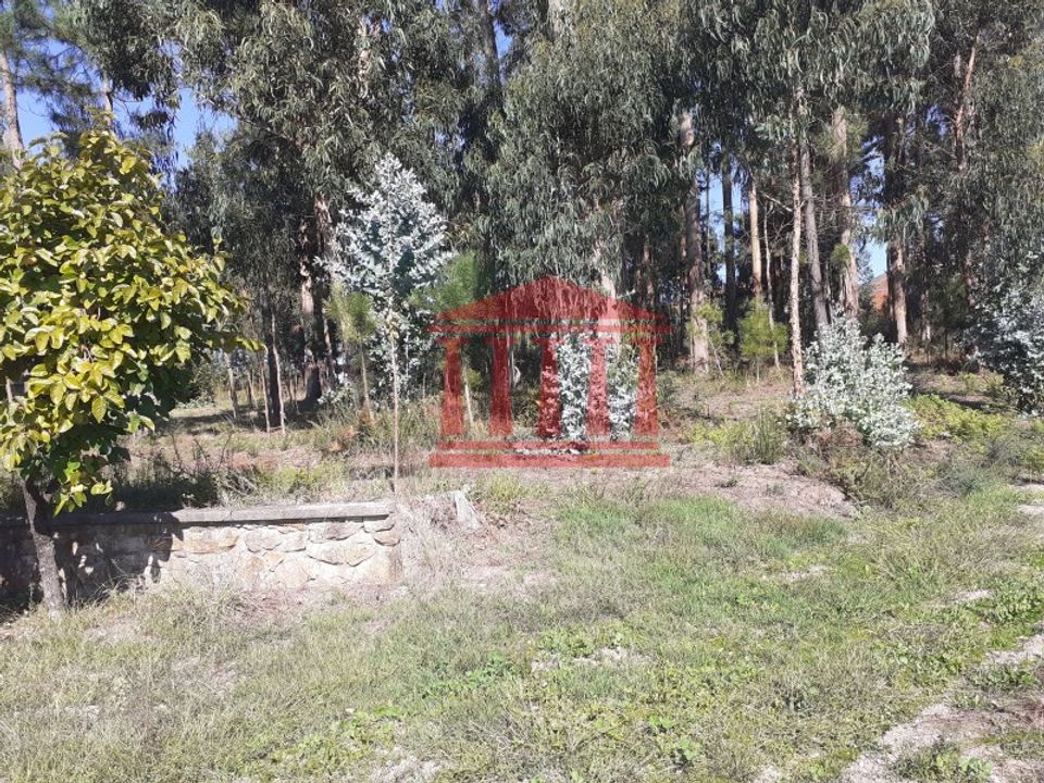 Helårsgrund i Barcelos, Braga - foto 2