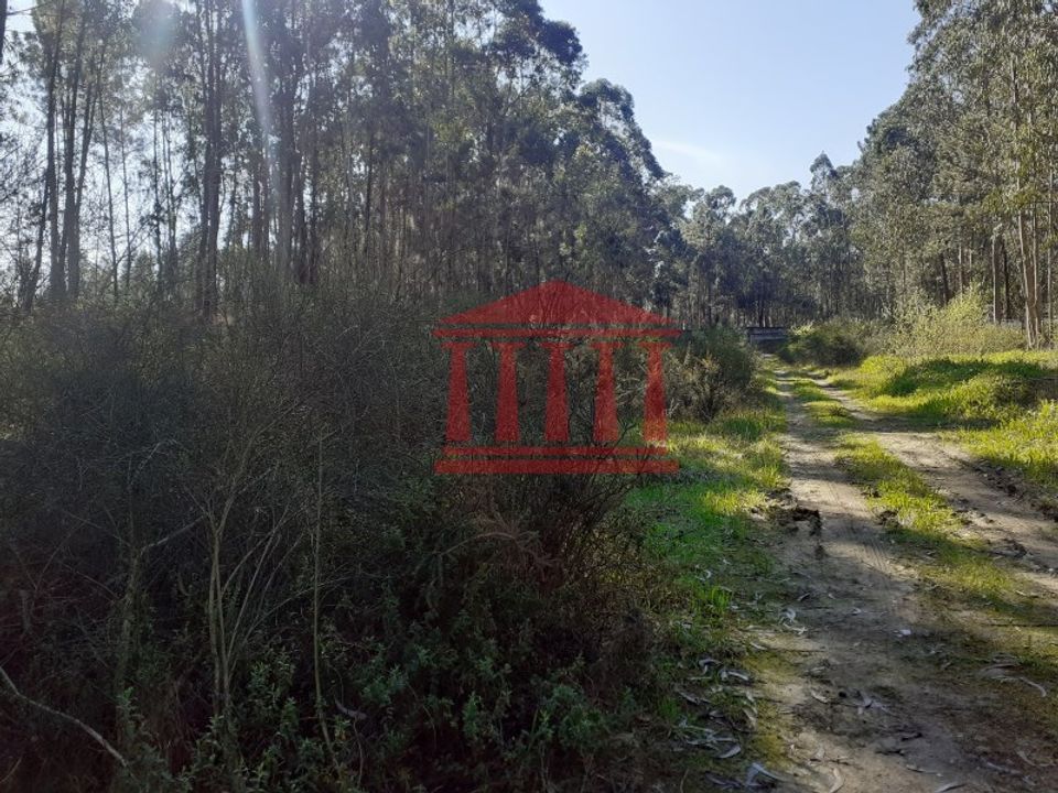 Helårsgrund i Vila Cha, Braga - foto 5