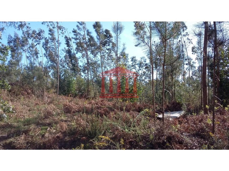 Tomt i Remelhe, Braga - foto 2