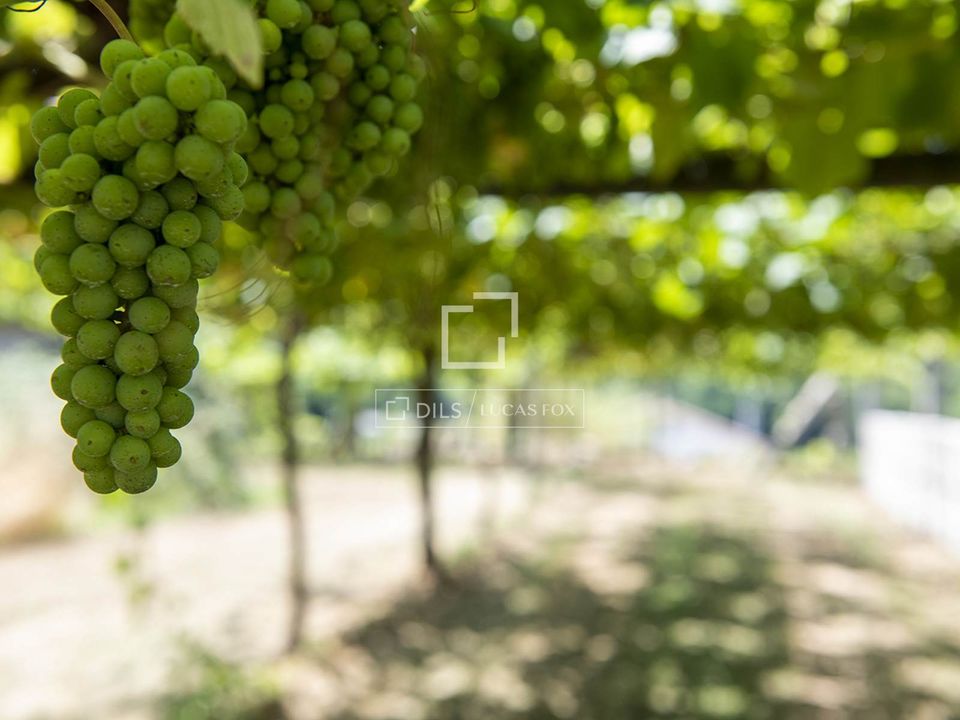 Helårsgrund i Meis (San Salvador), Pontevedra - foto 1
