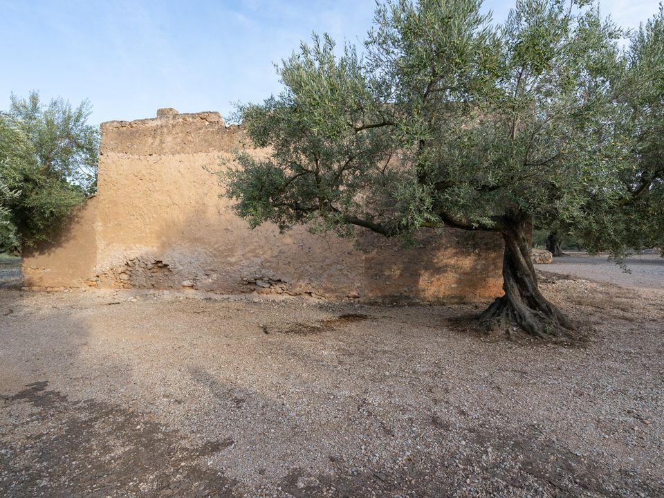 Finca en Mas De Barberans, Tarragona - foto 2