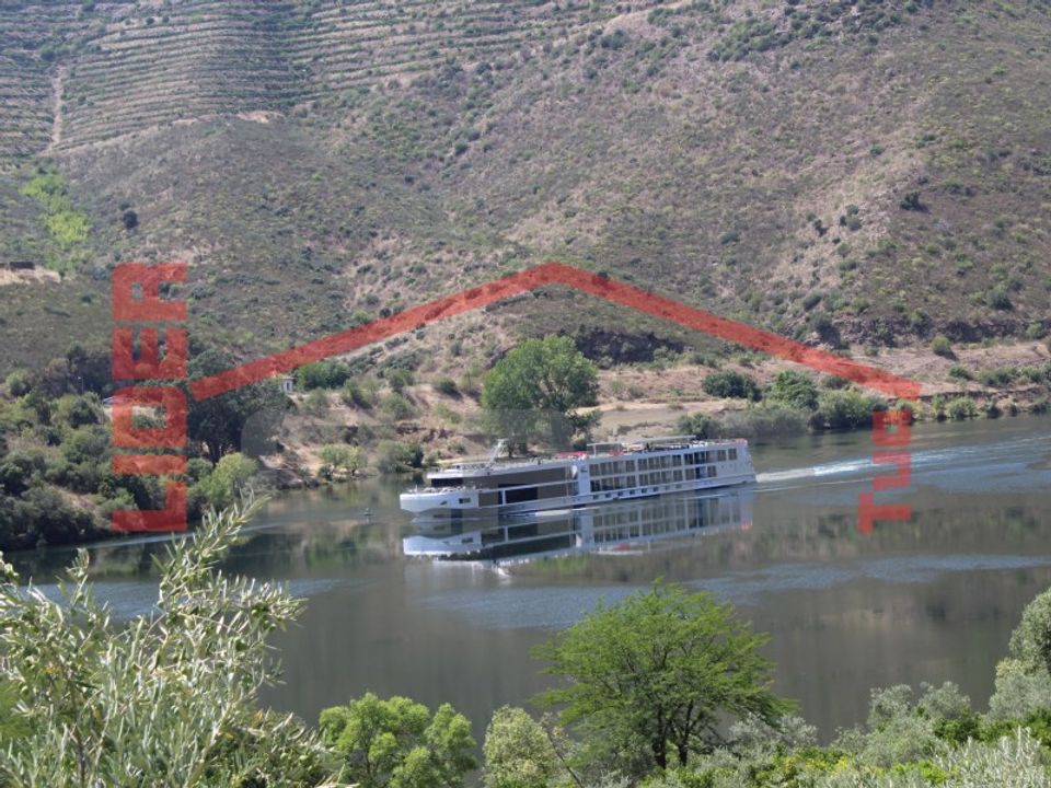 Gård i Torre de Moncorvo, Braganca - bilde 1