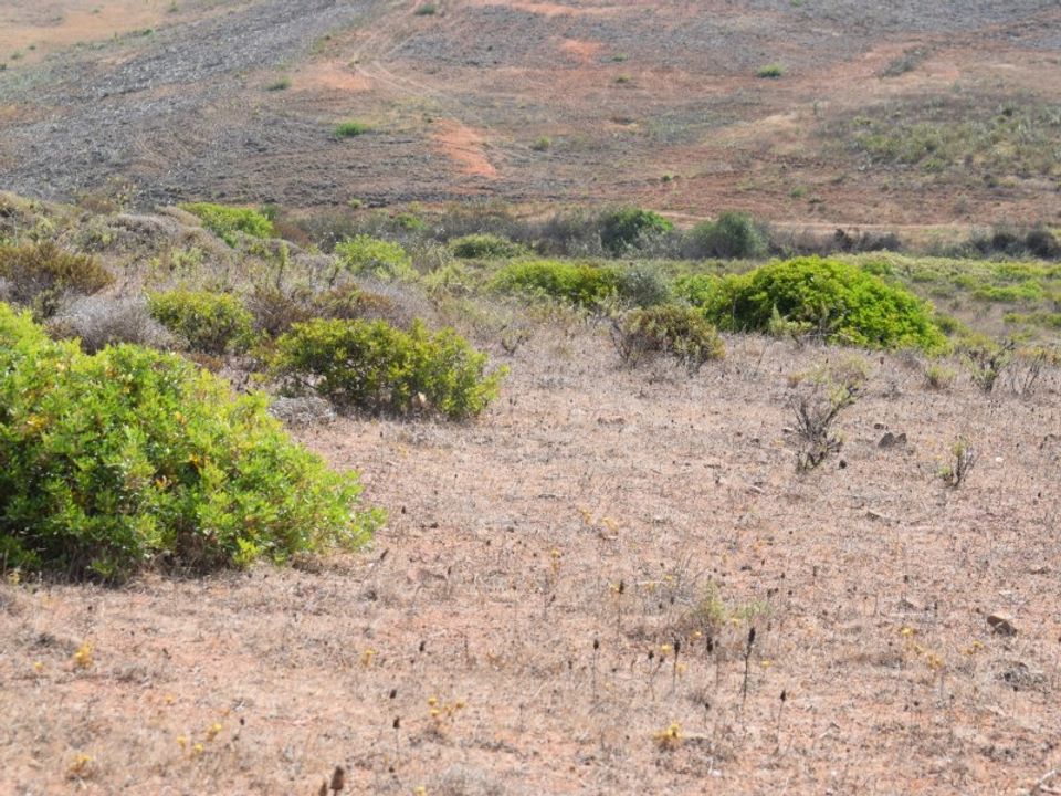 Helårsgrund i Sagres, Faro - foto 1