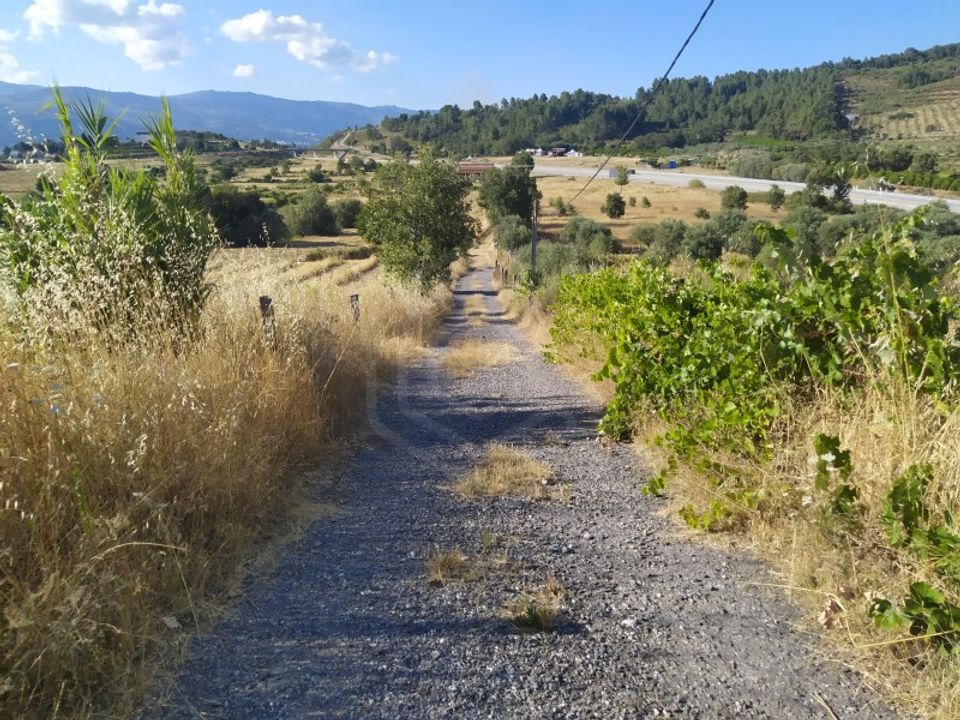 Helårsgrund i Fundao, Castelo Branco - foto 3