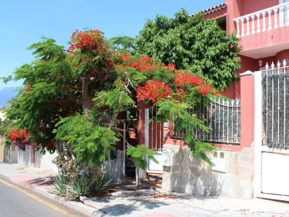 Finca i El Rosario, Tenerife - foto 1