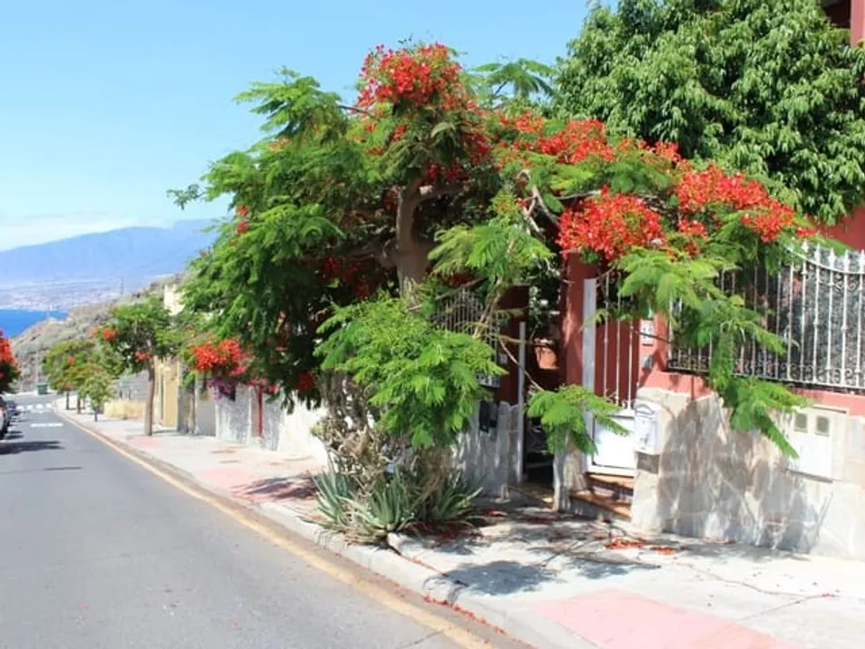 Finca i El Rosario, Tenerife - foto 2