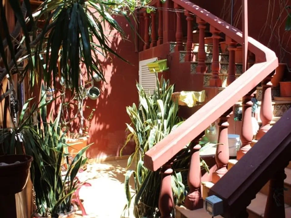 Finca i El Rosario, Tenerife - foto 4