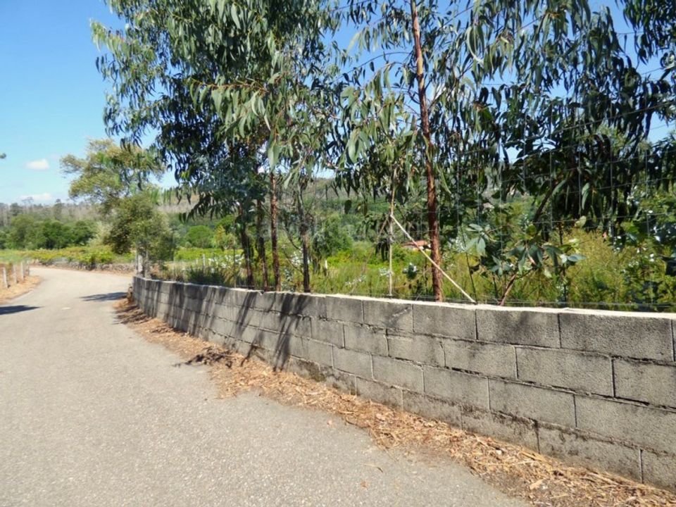 Helårsgrund i Moncao, Viana do Castelo - foto 5