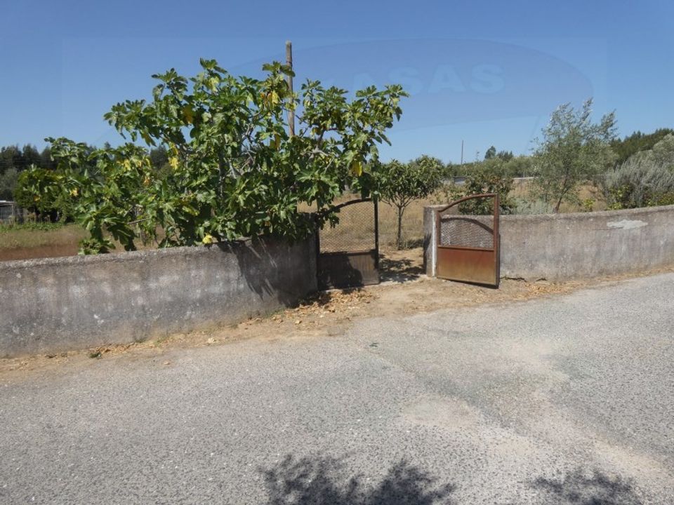 Helårsgrund i Casais e Alviobeira, Santarem - foto 3