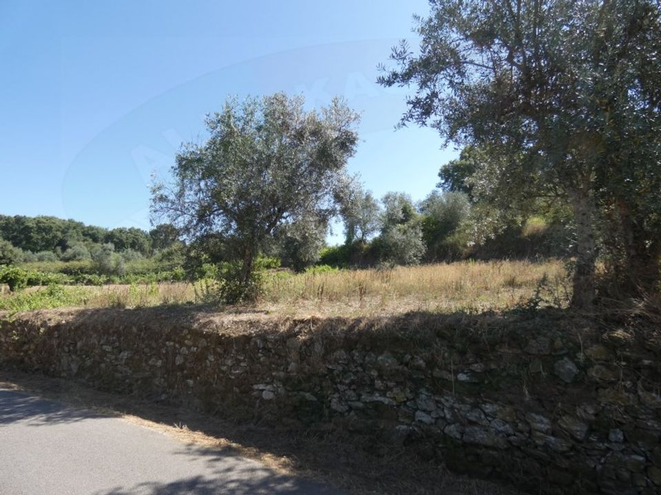 Helårsgrund i Casais e Alviobeira, Santarem - foto 2