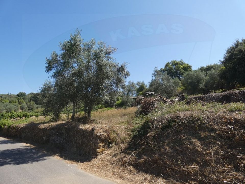 Helårsgrund i Casais e Alviobeira, Santarem - foto 4