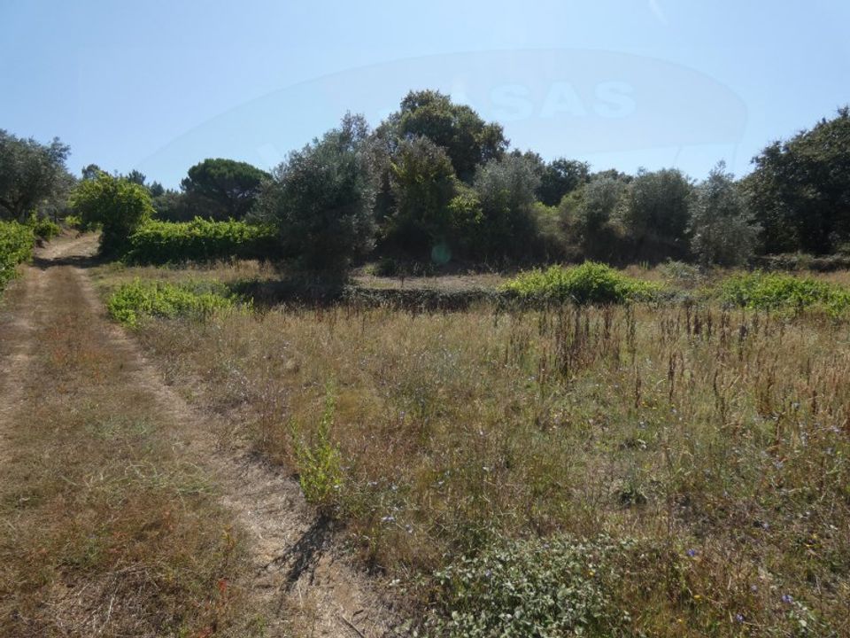 Helårsgrund i Casais e Alviobeira, Santarem - foto 5