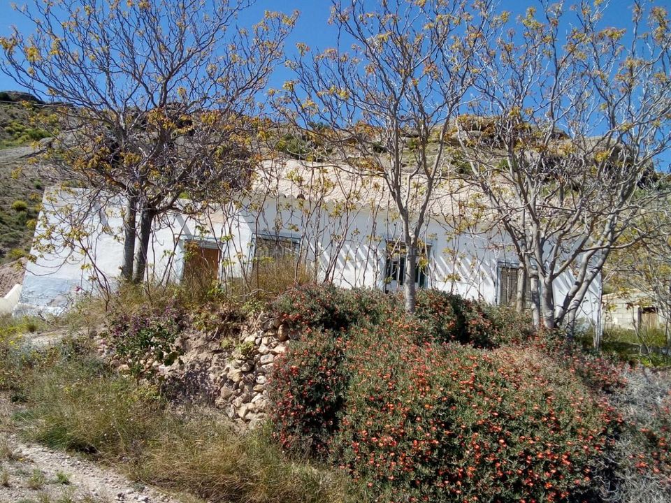 Landejendom i Albox, Almeria - foto 1