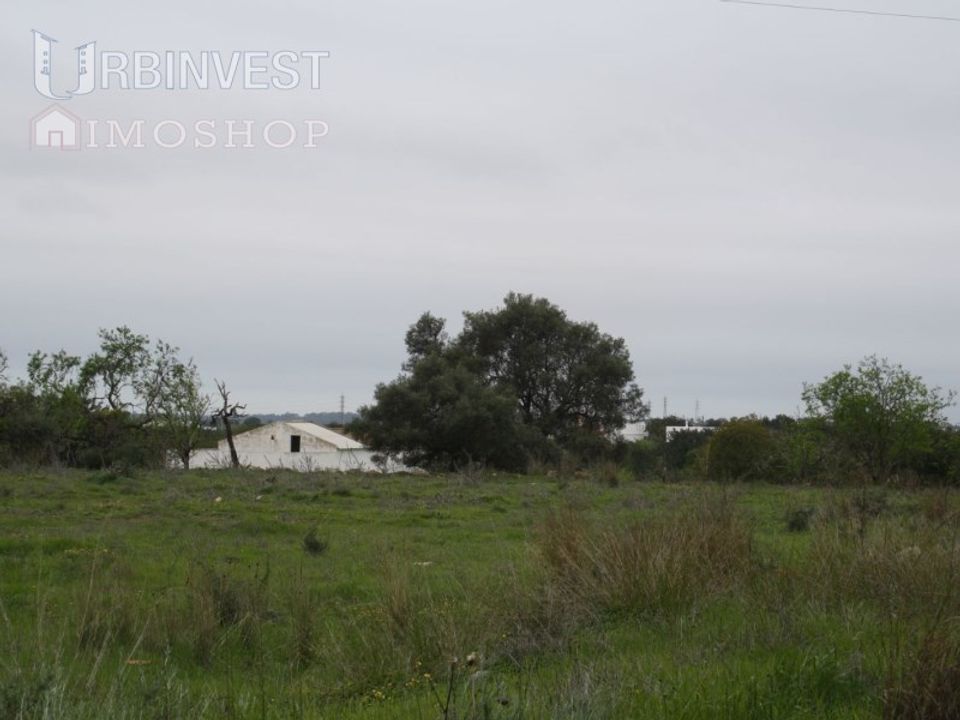 Farm i Santa Barbara de Nexe, Faro - foto 4