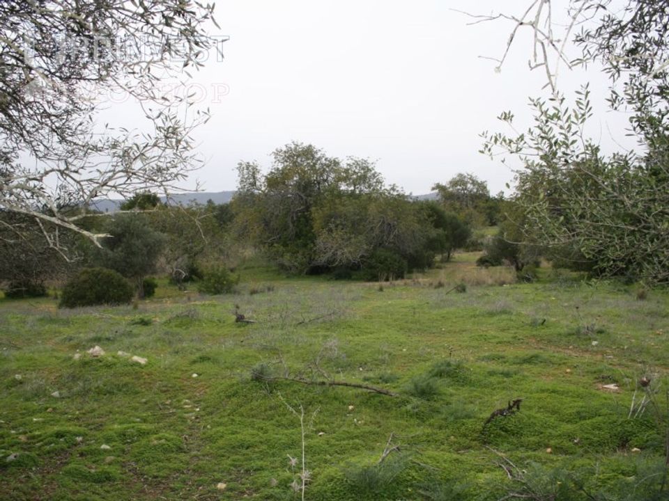Farm i Santa Barbara de Nexe, Faro - foto 5